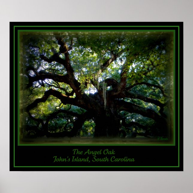 Angel Oak Poster (Framsidan)