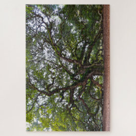 Angel Oak, South Carolina Pussel