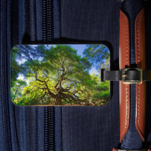 Angel Oak Träd Bagagebricka