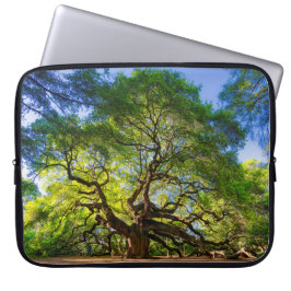 Angel Oak Träd Laptop Fodral