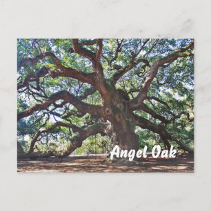 Angel Oak Vykort