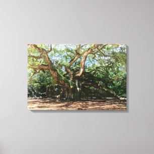 Angel Oak Watercolor Canvastryck