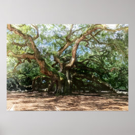 Angel Oak Watercolor Poster