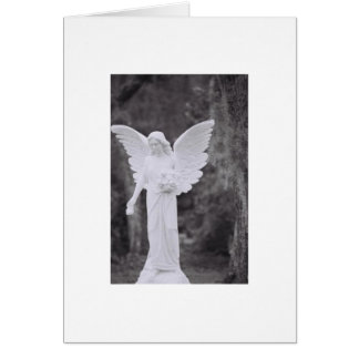 Angel OBS Kort