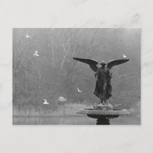 Angel Sculpture in Pond Vykort