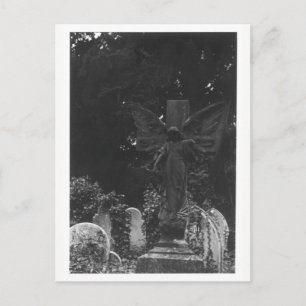 Angel Statue Old Cemetery Postcard Vykort