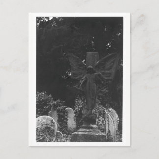 Angel Statue Old Cemetery Postcard Vykort