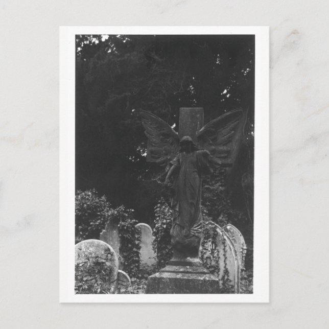 Angel Statue Old Cemetery Postcard Vykort (Framsida)