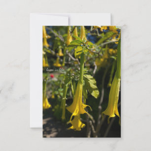 Angel Trumpet Anteckningskort