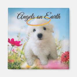 Ängel Valp Magnet