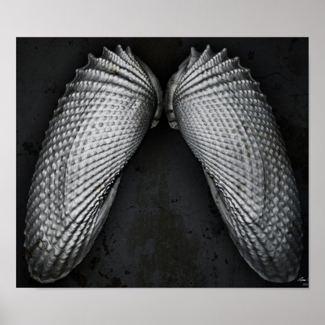 Angel Vingar BW Poster (Framsidan)