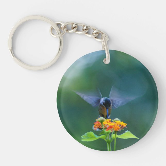 Angel Vingar Humming (Framsidan)