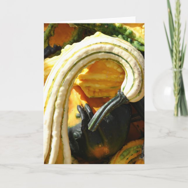 Angel Vinge Gourd Kort (Framsida)