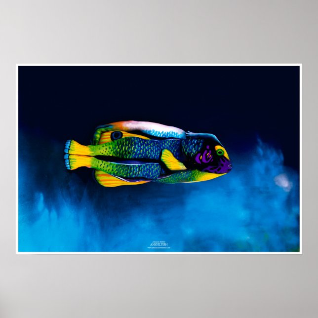 Angelfish av Johannes Stötter Poster (Framsidan)