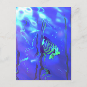 Angelfish Blues Vykort