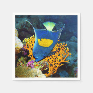 Angelfish picturesque framför korall, Röda havet Pappersservett