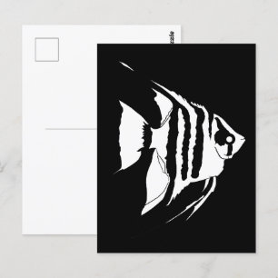 Angelfish. Svartvit. Monokrom Vykort