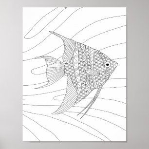 Angelfish Vuxen Coloring Poster