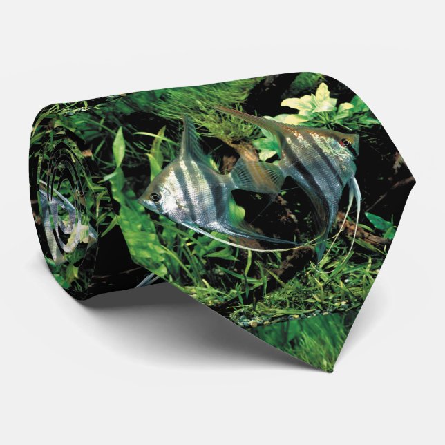 angelfisk 2 slips (Rullad)