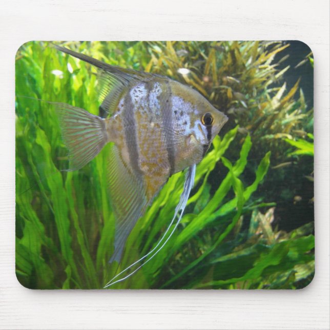 Ängelfisk Mousepad Musmatta (Framsidan)