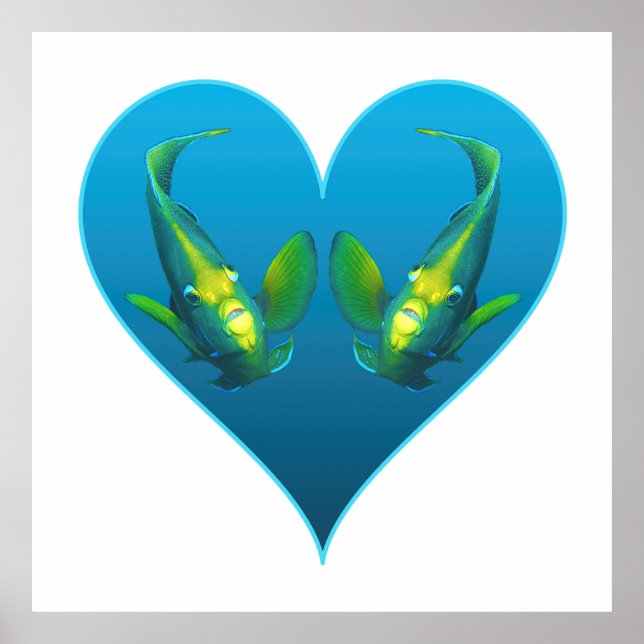 Ängelfisk Tvillingar i ett Blått Hjärta - Illustra Poster (Framsidan)