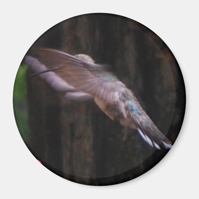 Angelic Vingar Magnet (Framsidan)