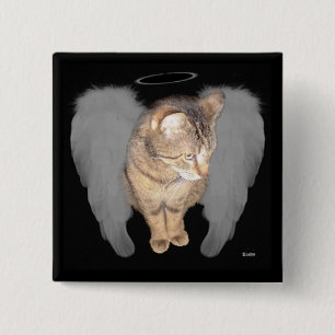 Ängelkatt (Lucian) Knapp