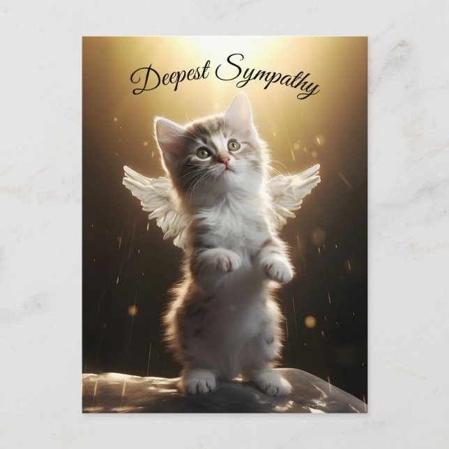 Ängelkatt Vykort (Framsida)