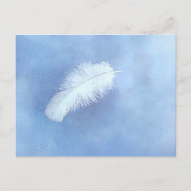 Angel's Feather Postcard Vykort (Framsida)