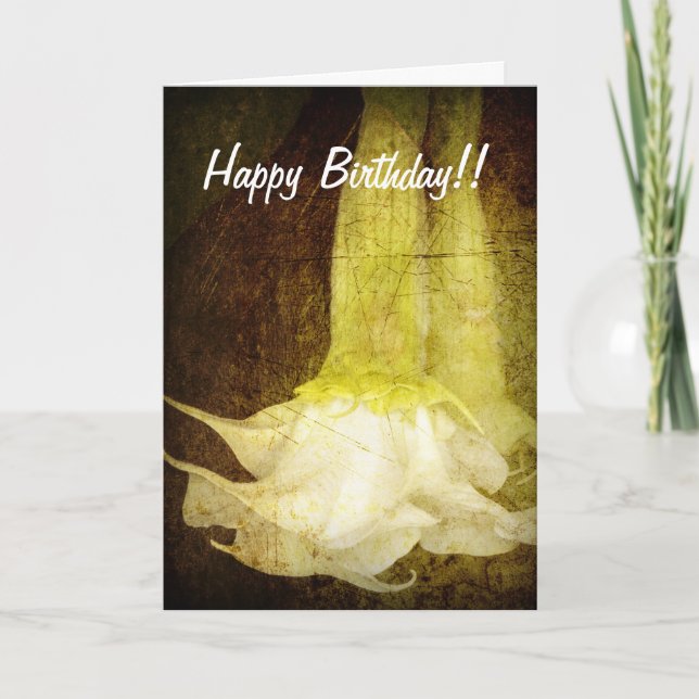 Angel's Trumpet Birthday Card Kort (Framsida)