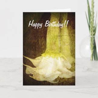 Angel's Trumpet Birthday Card Kort