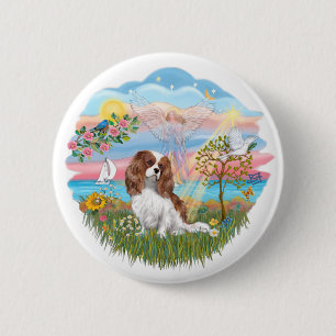 Ängelstjärna - Blenheim Cavalier Knapp
