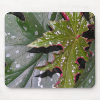 ÄngelvingeBegonias Mousepad Musmatta