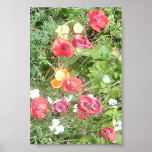 Ängen Dapple blommor värderar den mycket små Poster