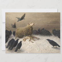 Ångest: Tacka med ett dött lamm