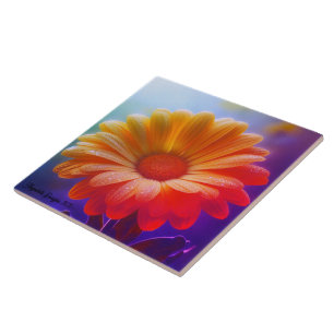 Angestelle Decorative Two Tone Daisy Kakelplatta