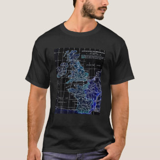 Angevin Empire Plantagenet Anjou England Normandy T Shirt