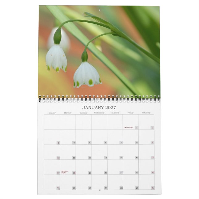 Angie's Garden 2008 Calendar Kalender (Jan 2027)