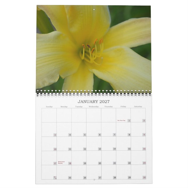 Angies Lilies Kalender (Jan 2027)