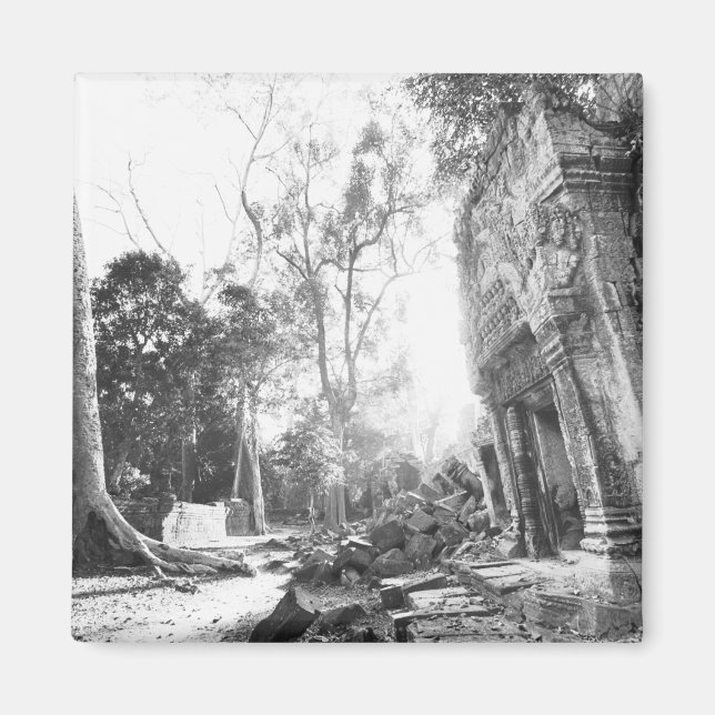 Angkor Kambodja, detaljer Ta Prohm Magnet (Framsidan)