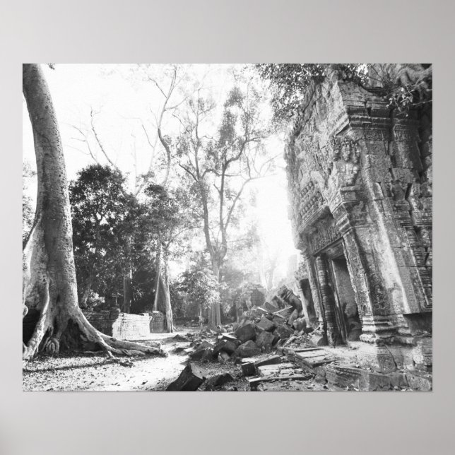 Angkor Kambodja, detaljer Ta Prohm Poster (Framsidan)
