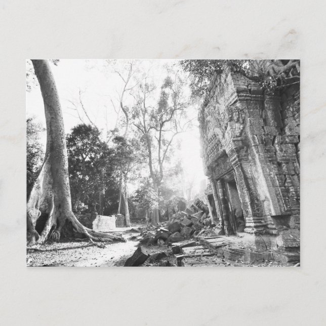 Angkor Kambodja, detaljer Ta Prohm Vykort (Framsida)