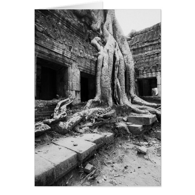 Angkor Kambodja, Ta Prohm Träd Hälsningskort (Framsidan)