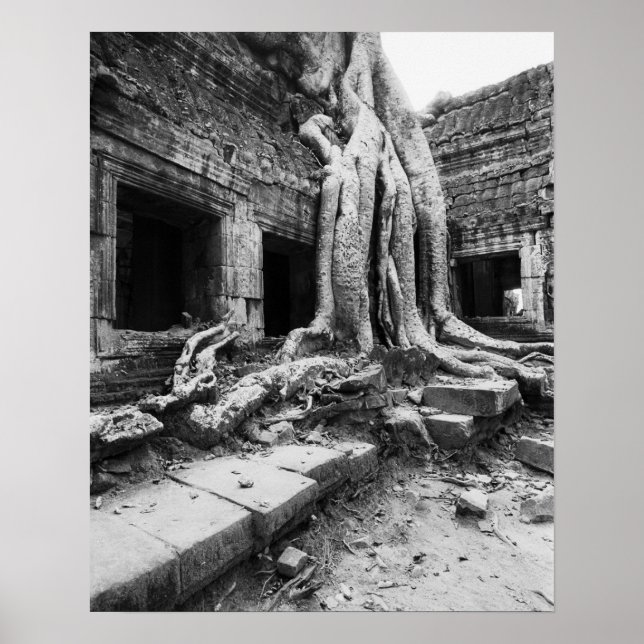 Angkor Kambodja, Ta Prohm Träd Poster (Framsidan)