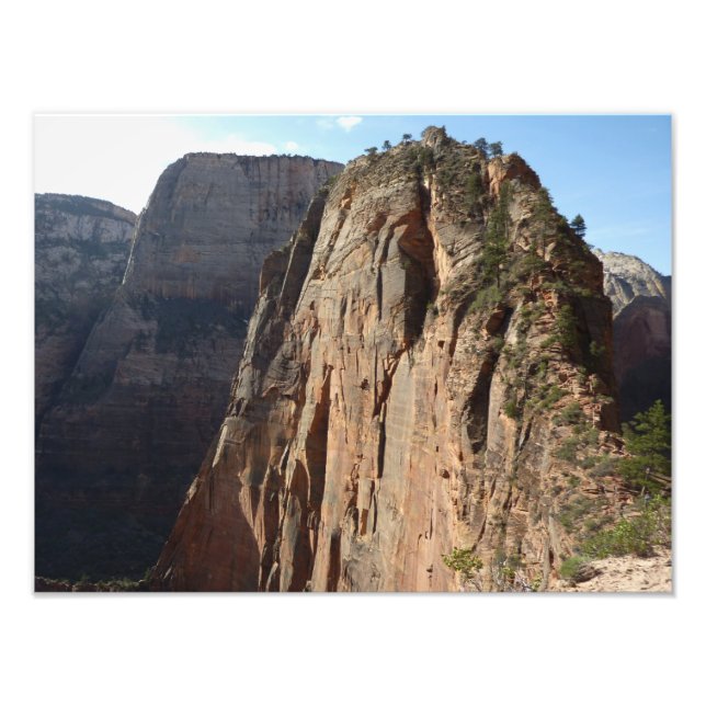 Änglandningsplatsen i Zion National Park Fototryck (Framsidan)