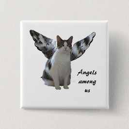 Änglar bland USA-knapp Knapp