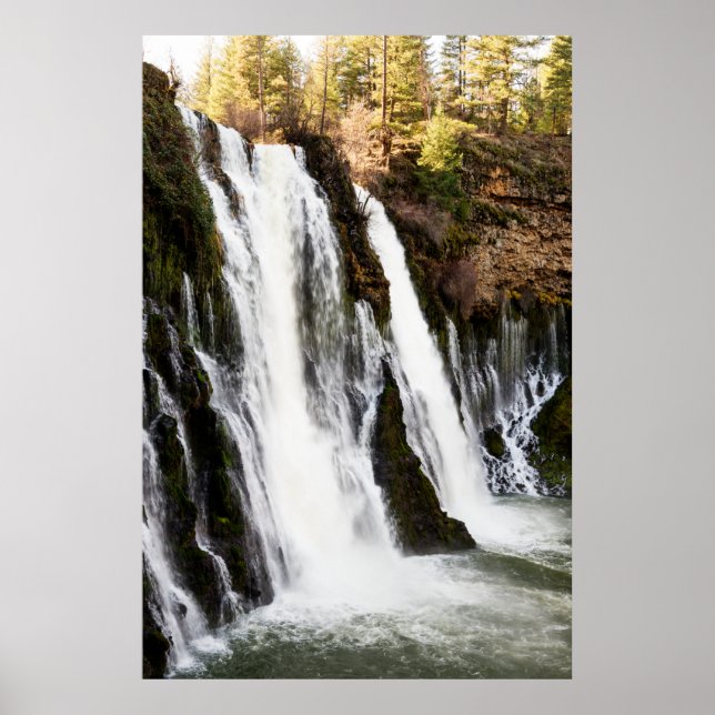 Änglar Camp Kalifornien, huvuddelen av berömd Guld Poster (Framsidan)