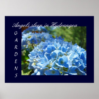 Änglar sover i Hortensia Trädgård konsttryck Blå Poster