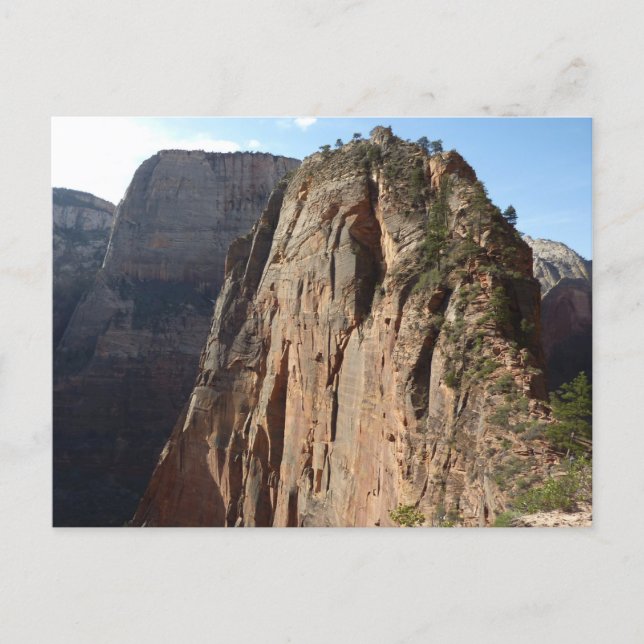 Änglars landning vid Zion National Park Vykort (Framsida)