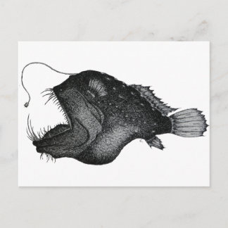Anglerfish Vykort